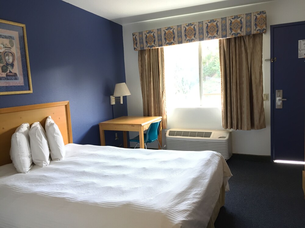 Bay Inn and Suites at Seaworld - photo 20