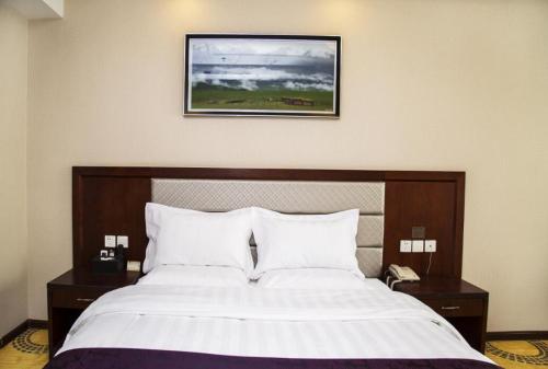 Fengzhilv Hotel — hotel in Yining