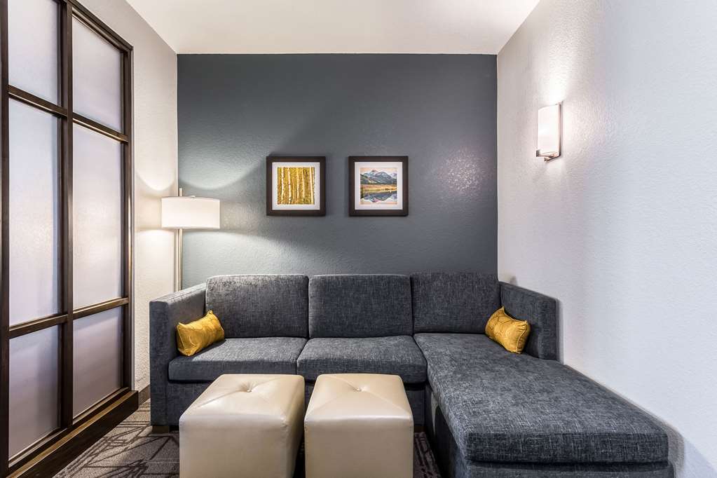Comfort Inn & Suites Salt Lake City Airport - photo 37