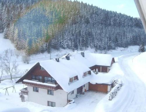 Ferienwohnung Nr 1 — Vohrenbach — photo 5