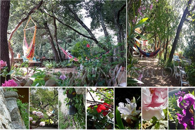 Om’sleeping B&B — Loudun — photo 2