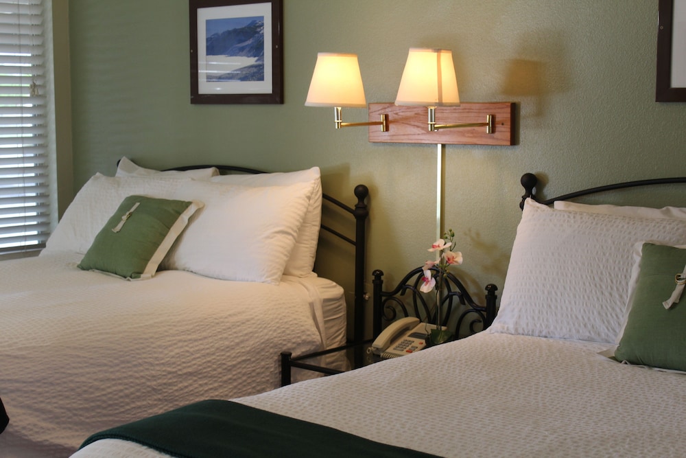 Trees Motel - photo 8