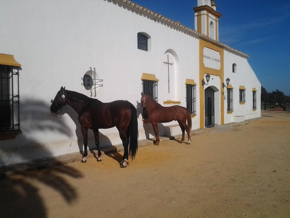 Hacienda La Indiana in Utrera, Spain
