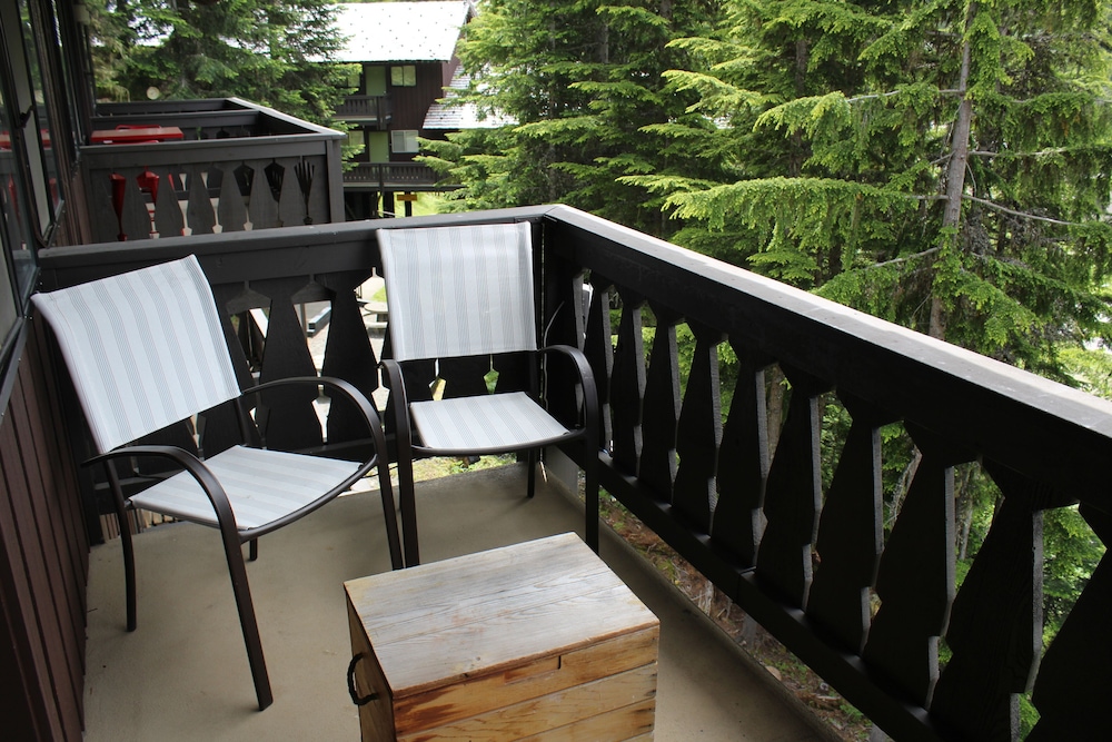 Crystal Chalets Condominiums at Crystal Mountain Ski Resort - photo 134