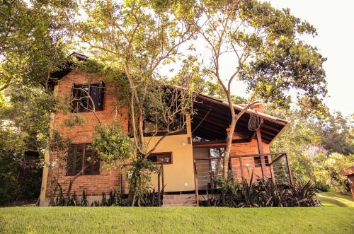 Amanita Rosa in Unknown City, Brasil
