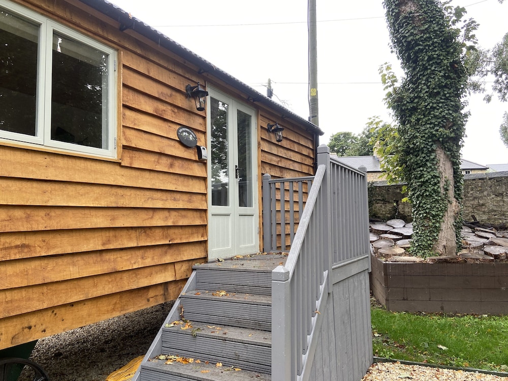 Red Squirrels Drey in Belford, United Kingdom