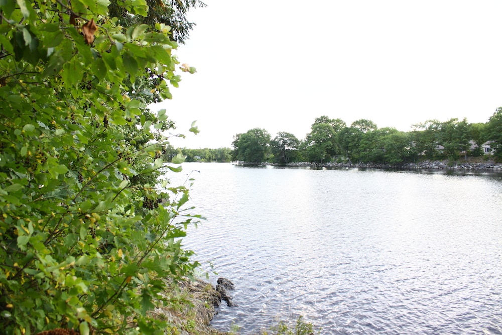 Milford Motel On the River - photo 23