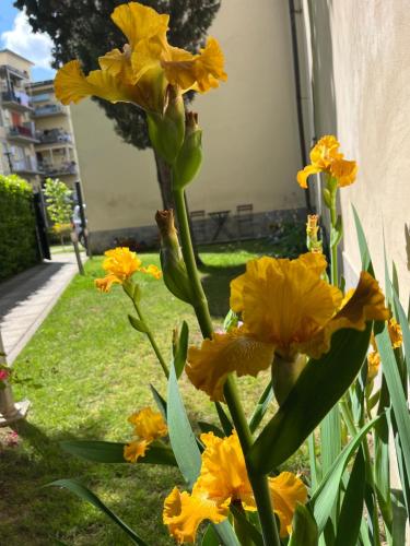 DaLu Florence apartment Davide private car park 15 minutes to the city center — 4-Star Luxury Hotel in Florence, Italy