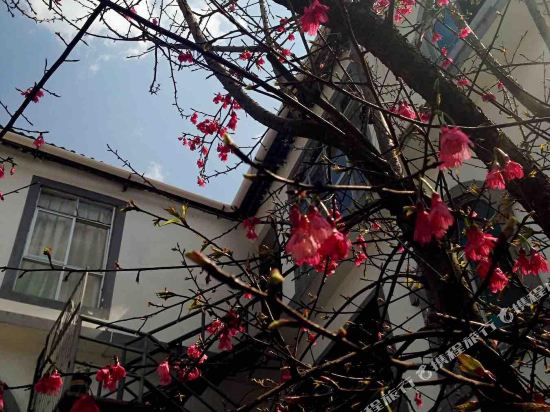 Yuanyang Top Cloud Inn in Yuanyang Chengguanzhen, People's Republic of China