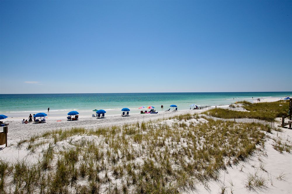 Emerald Shores - photo 11