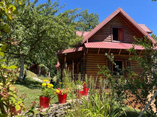 Estate Vukadinovic in Mojkovac, Montenegro