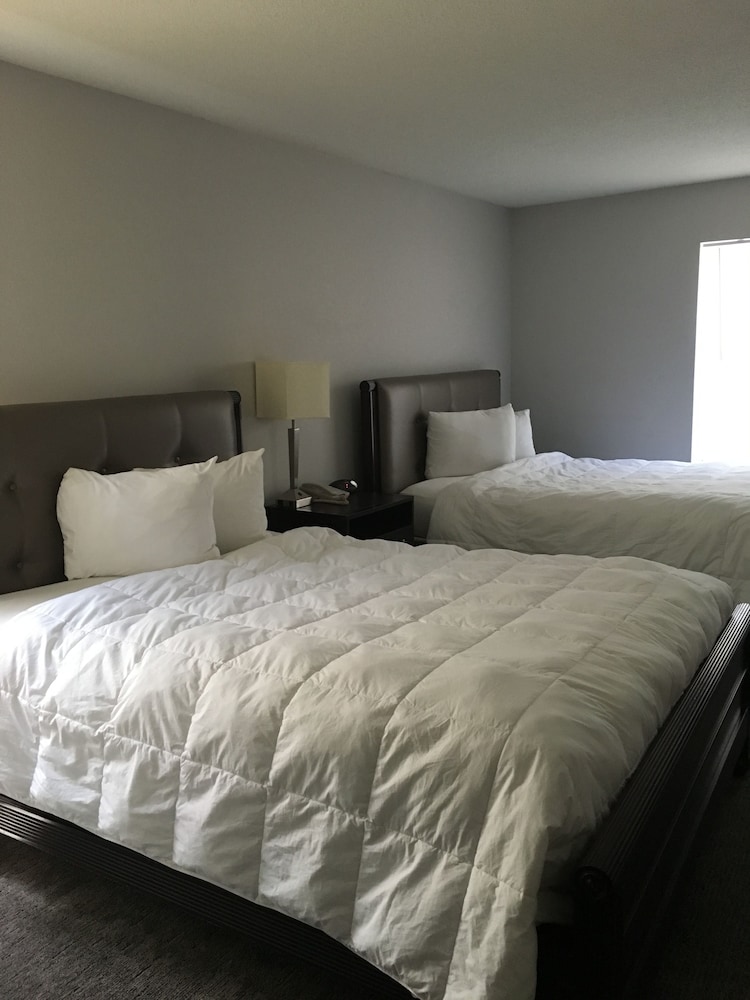 Ambassador Inn And Suites - photo 8