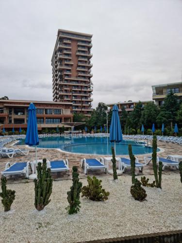 Dreamland Oasis Chakvi