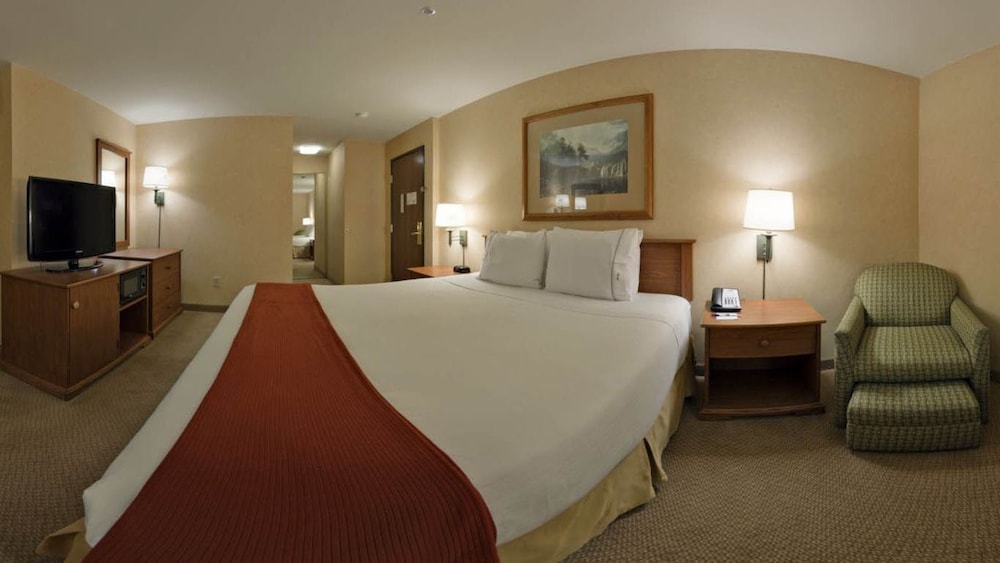 Holiday Inn Express Hotel & Suites Bishop an IHG Hotel - photo 4