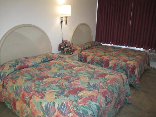 Apollo Resort Motel - photo 17