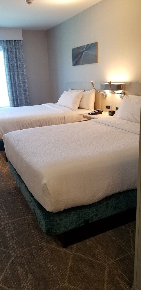 Hilton Garden Inn Colorado Springs Downtown - photo 14