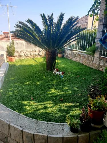 Apartment Cupic