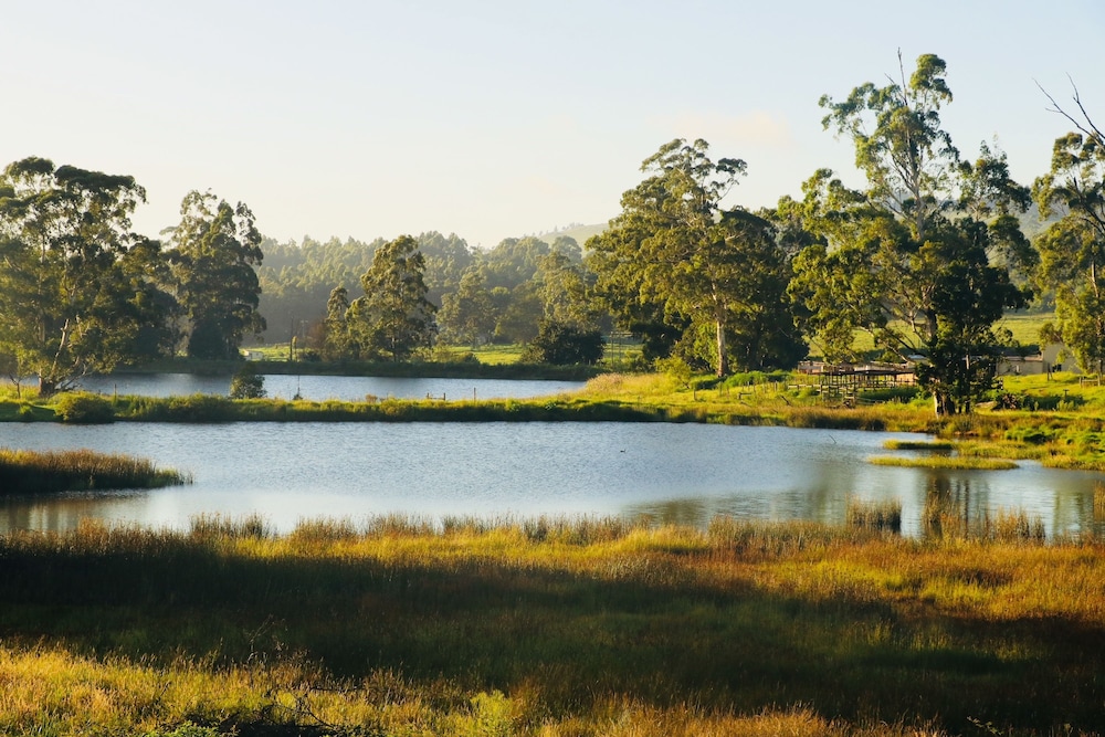 A Farm Life — 4-Star Luxury Hotel in Durban, South Africa