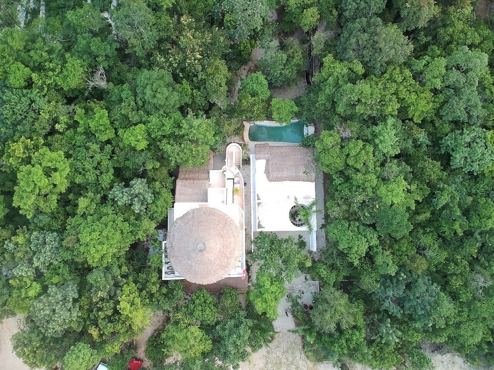 Jungle Secrets Riviera Maya - last minute hotel in Tulum