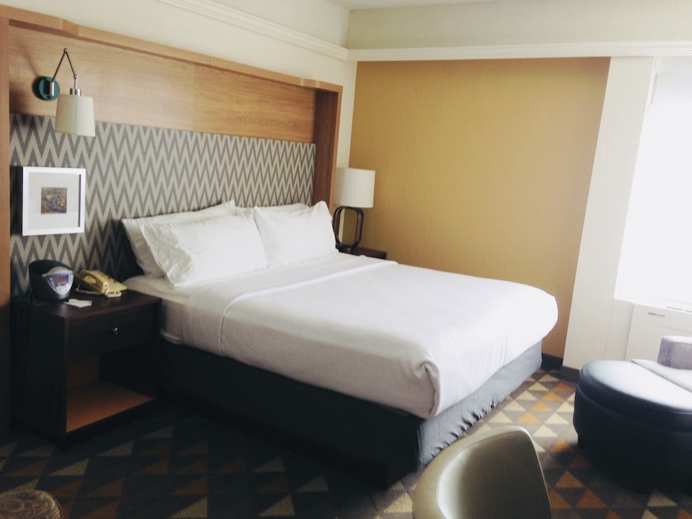 Holiday Inn & Suites Pittsfield Berkshires by IHG - photo 6