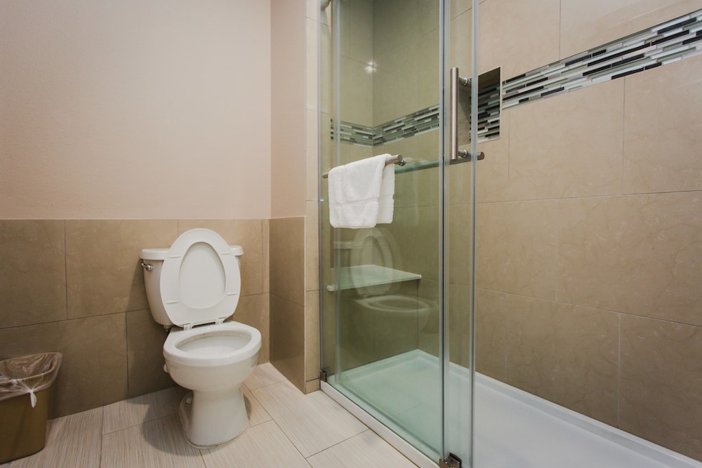 Palace Inn and Suites Willowbrook Mall - photo 32