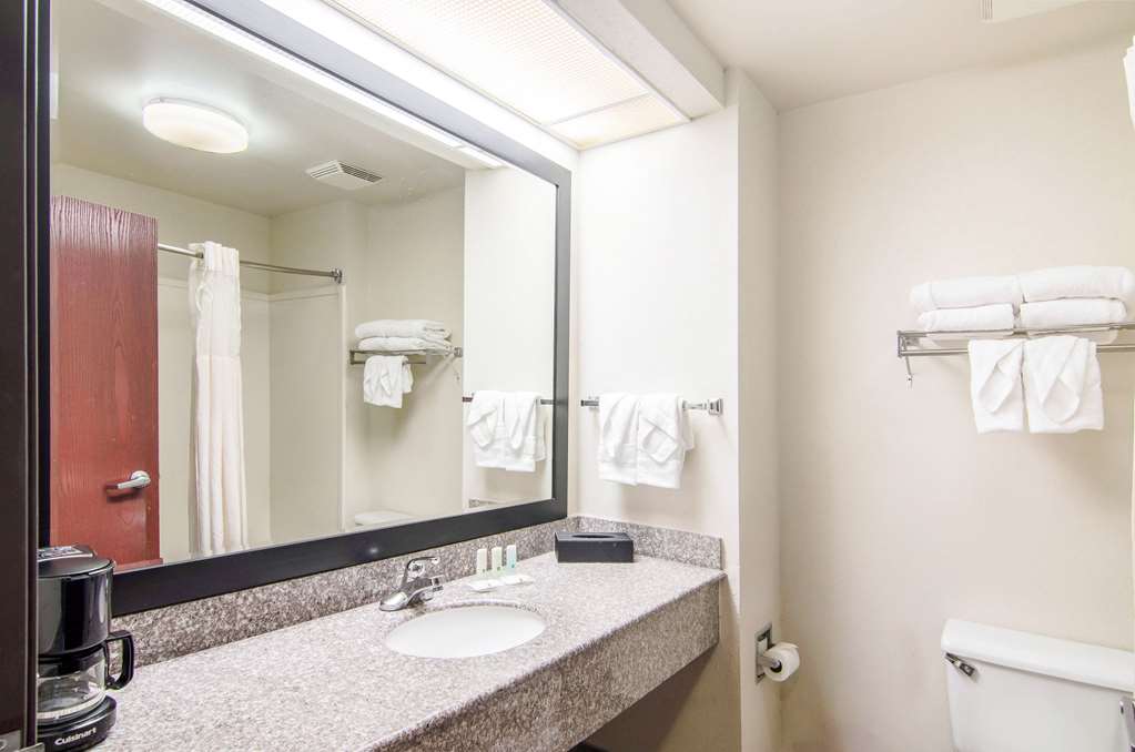 Quality Inn near University of Mobile - photo 14