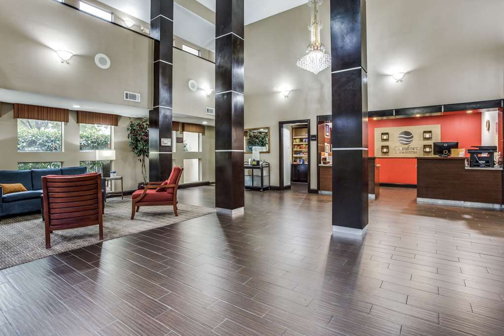 Comfort Inn & Suites Love Field Dallas Market Center - photo 5