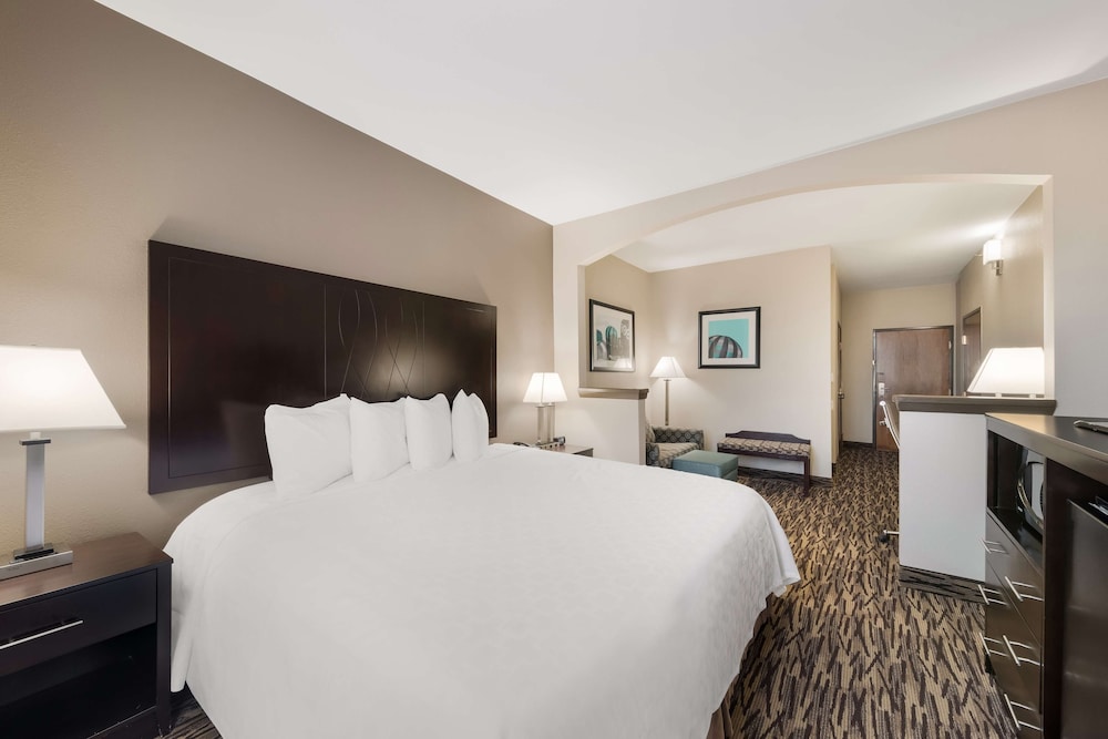 Comfort Suites Plano East Richardson - photo 35