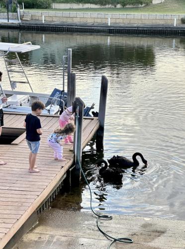 Murray River Family Retreat Jetty Spa Sauna in South Yunderup, Australia