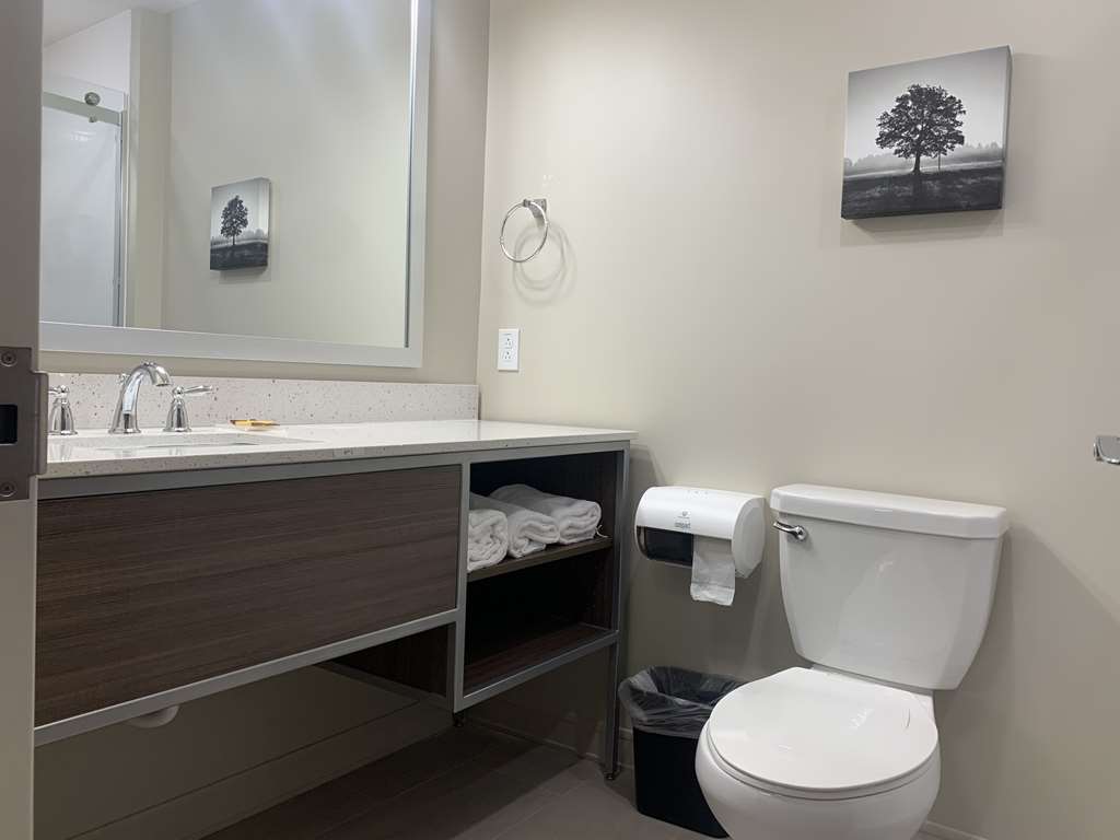 Best Western Plus Horseheads Elmira - photo 22