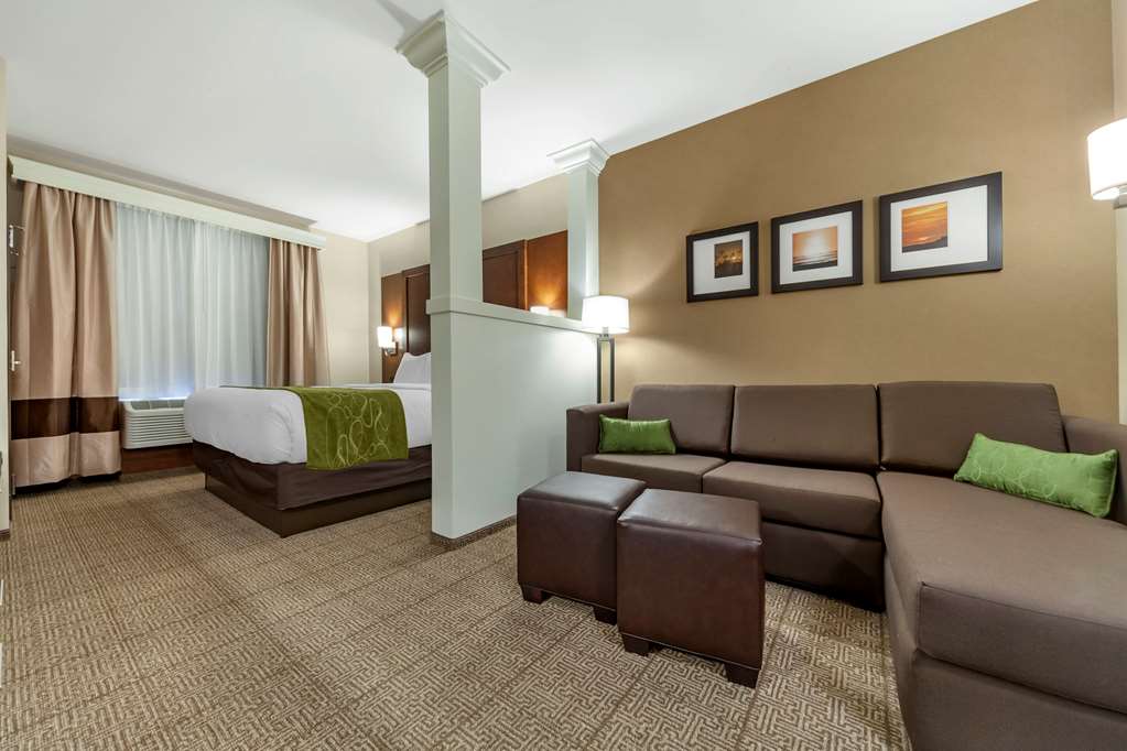Comfort Suites Grand Island South - photo 9