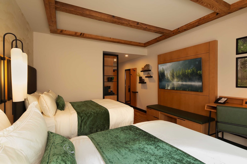 The Swiftwater - photo 16