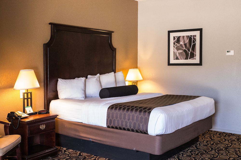Mockingbird Inn & Suites - photo 18