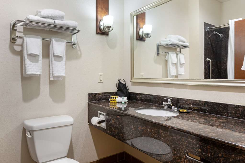 Best Western Plus Greenville South - photo 33