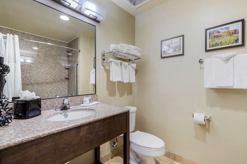 Comfort Suites Pflugerville Austin North - photo 7