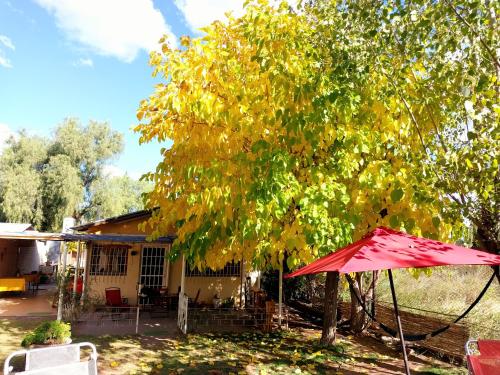 La Pepita - last minute hotel in Unknown City