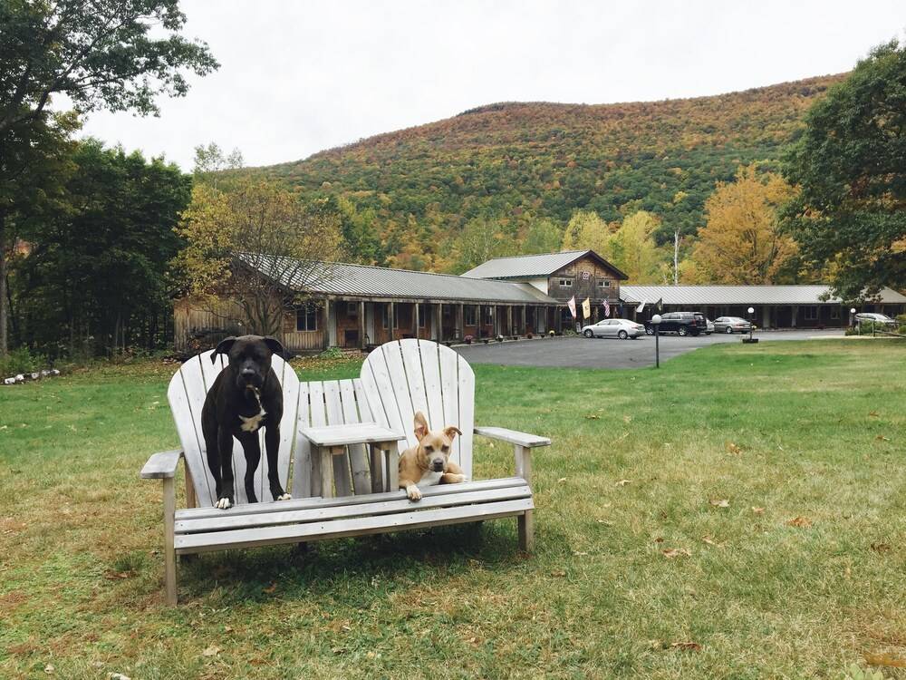 Aerie Inn of Vermont - photo 52