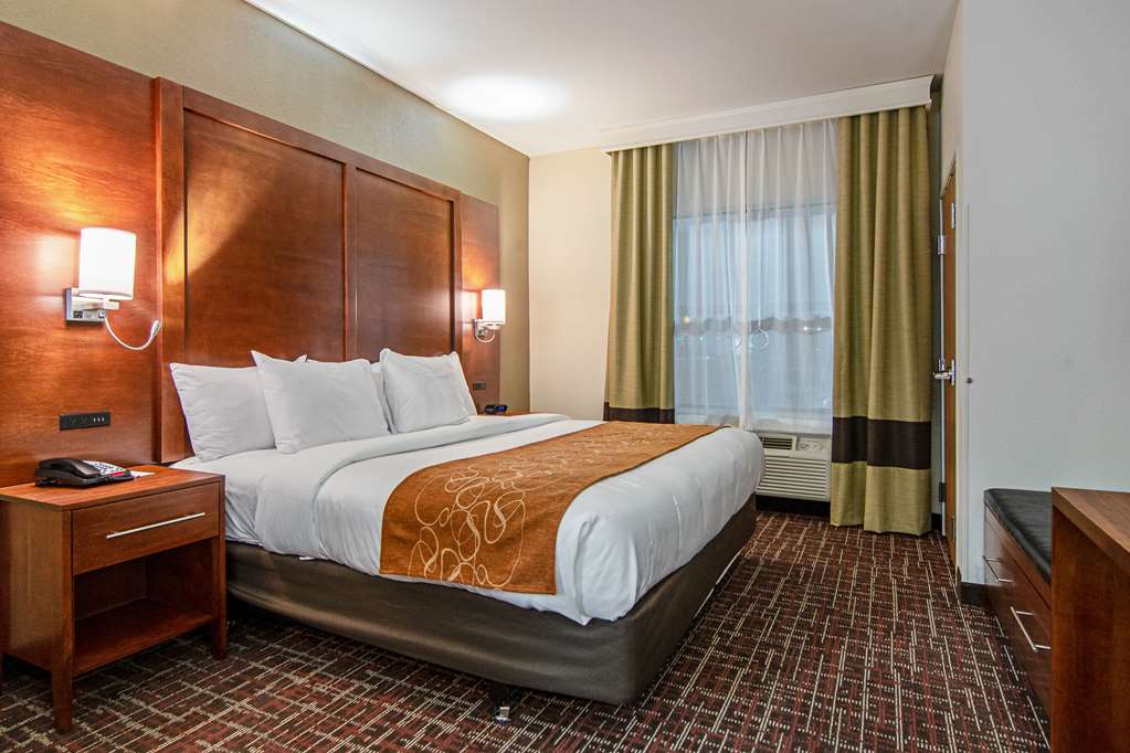 Comfort Suites NW Dallas Near Love Field - photo 16