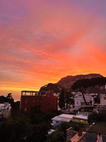Capri Joy Apartments — 4-Star Luxury Hotel in Capri, Italy