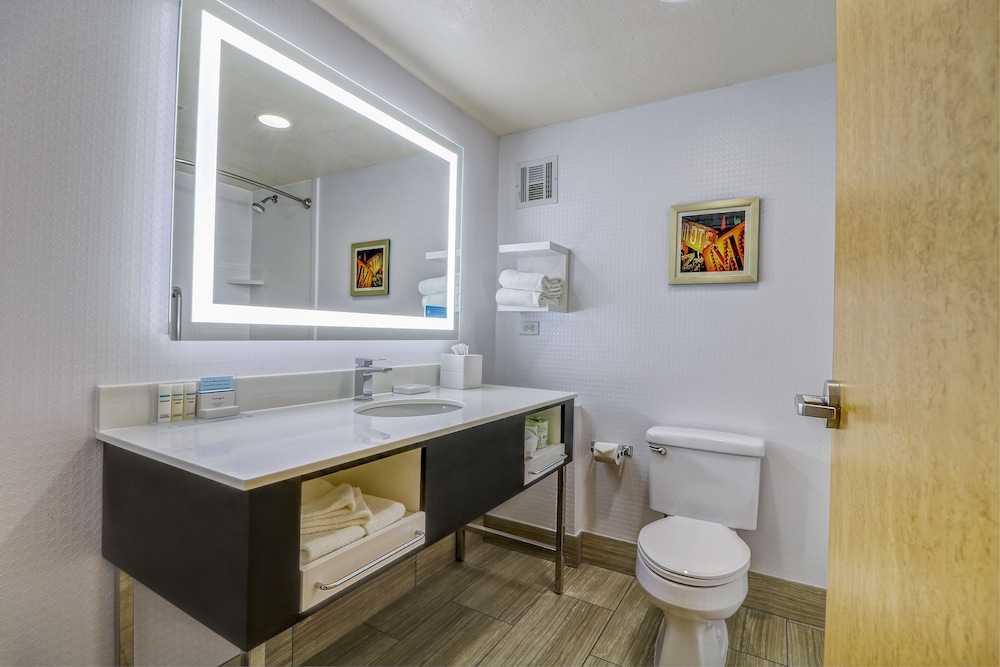 Hampton Inn Tropicana - photo 36
