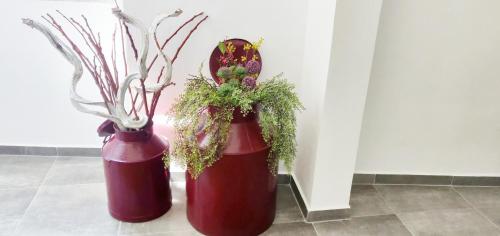 Pinheiro de Monsaraz Casas da Colmeia T2 in Reguengos De Monsaraz, Portugal