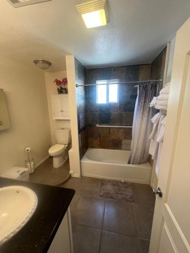 Desert oasis - photo 2