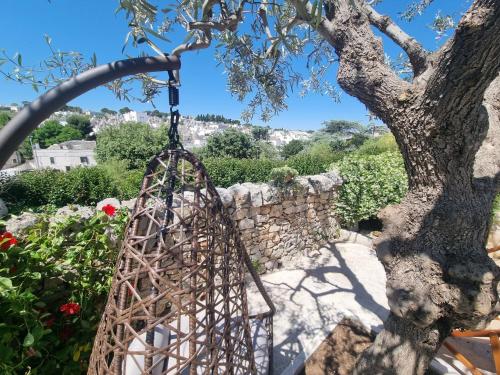 Panoramic Terrace — Alberobello — photo 2