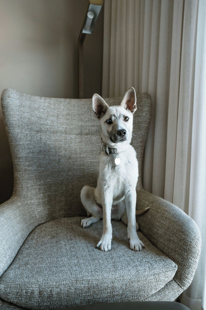 Hotel Paseo Autograph Collection by Marriott - photo 37