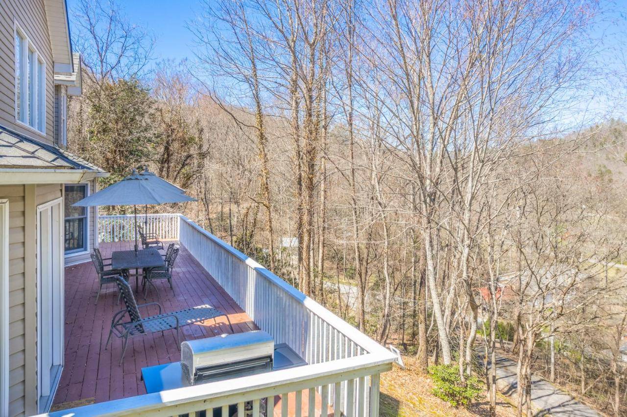 Beary Relaxing — Bryson City — photo 3