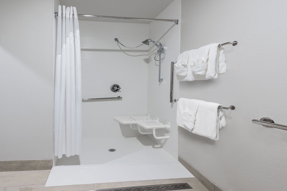 Holiday Inn Express & Suites Bryan College Station by IHG - photo 17