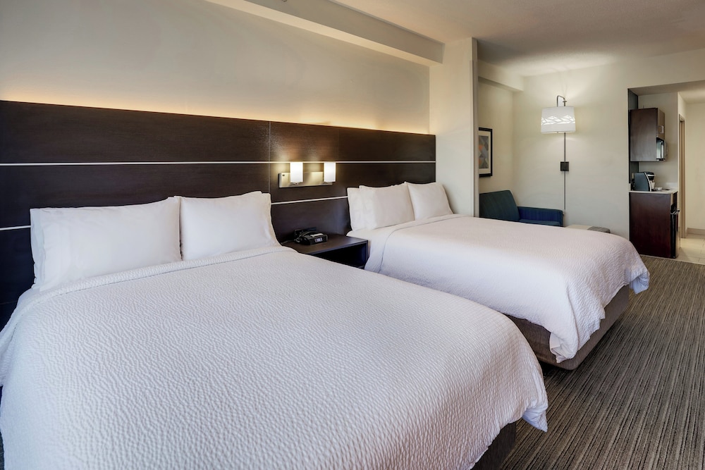 Holiday Inn Express Hotel & Suites Gadsden W Near Attalla by IHG - photo 24