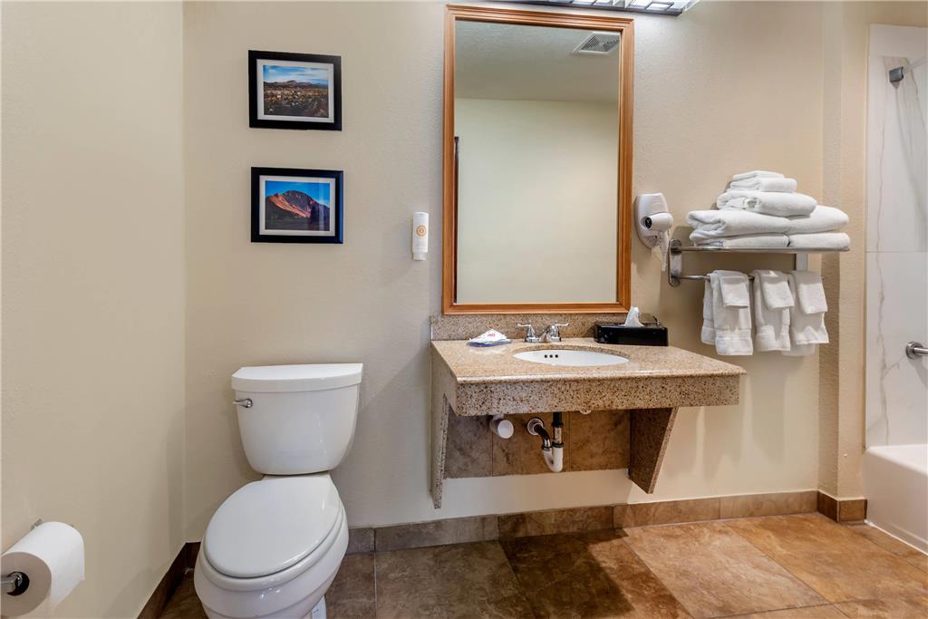 Comfort Inn & Suites Durango - photo 25