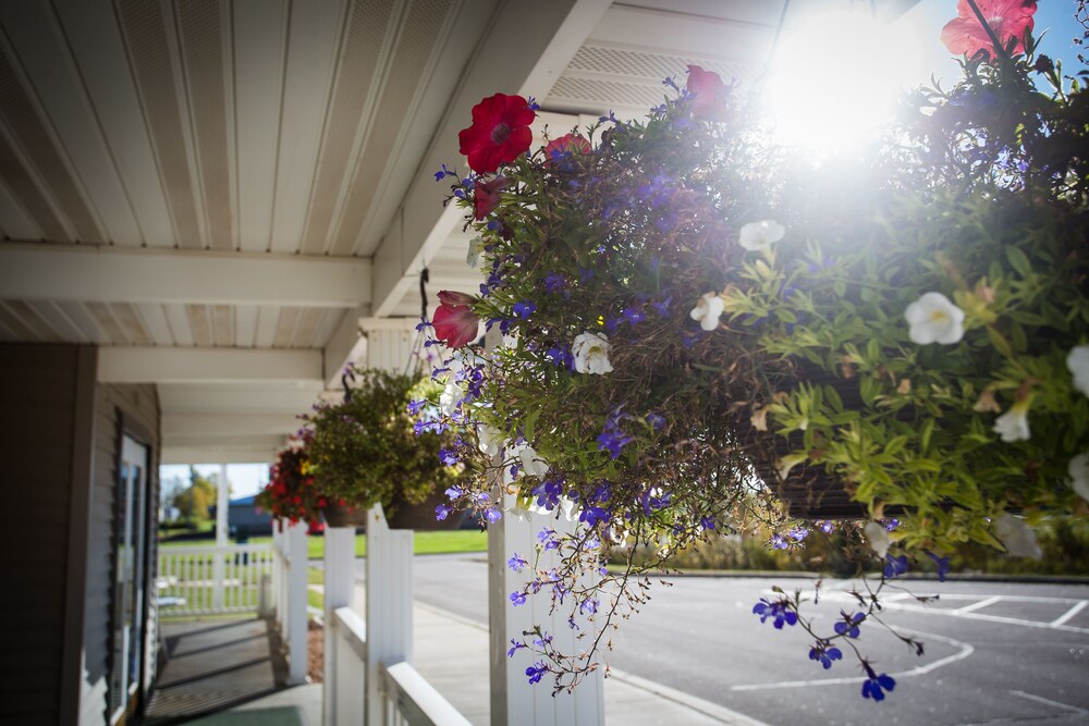 Chisholm Inn & Suites - photo 25