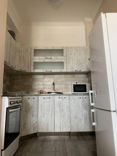 The Comfortable and Beautiful Apt in Tbilisi